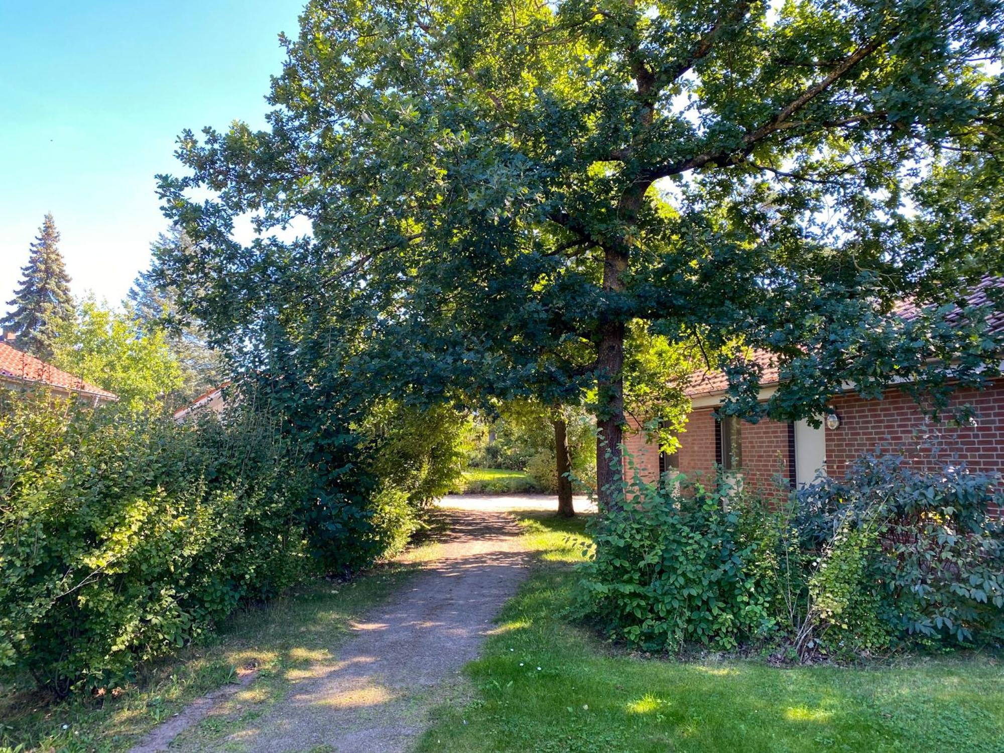 Ferienhaus Wiesengefluester W10 - Mit Sauna, Kamin Und Garten Röbel Eksteriør billede